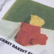 TANGTANG gasatang D.HOCKNEY DAKENY SYDNEY / short sleeve T-shirt